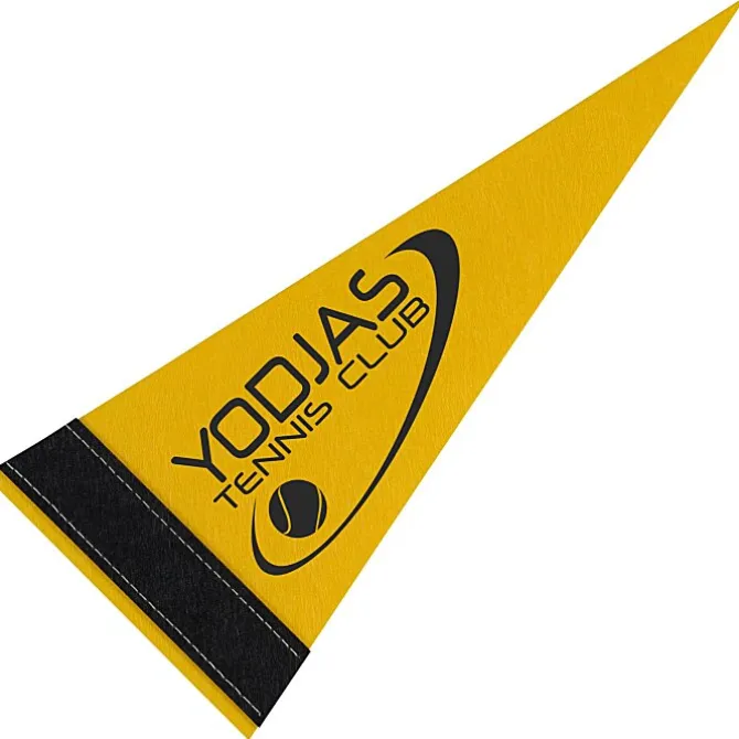 Pennant 4 inches x 10 inches - Colors