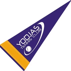 Pennant 4 inches x 10 inches - Colors