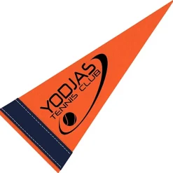Pennant 4 inches x 10 inches - Colors