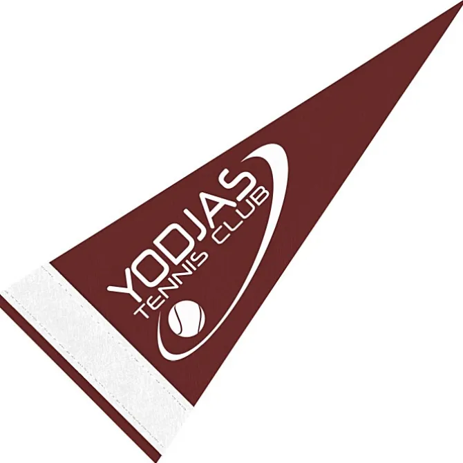 Pennant 4 inches x 10 inches - Colors