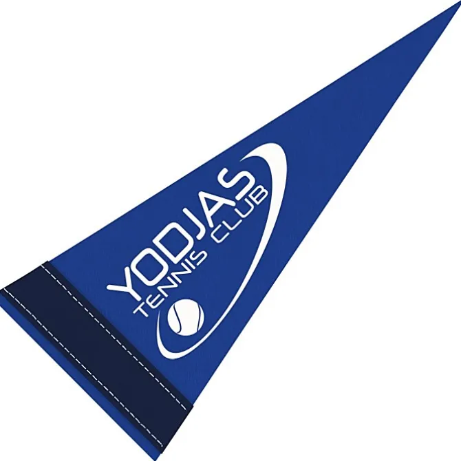 Pennant 4 inches x 10 inches - Colors