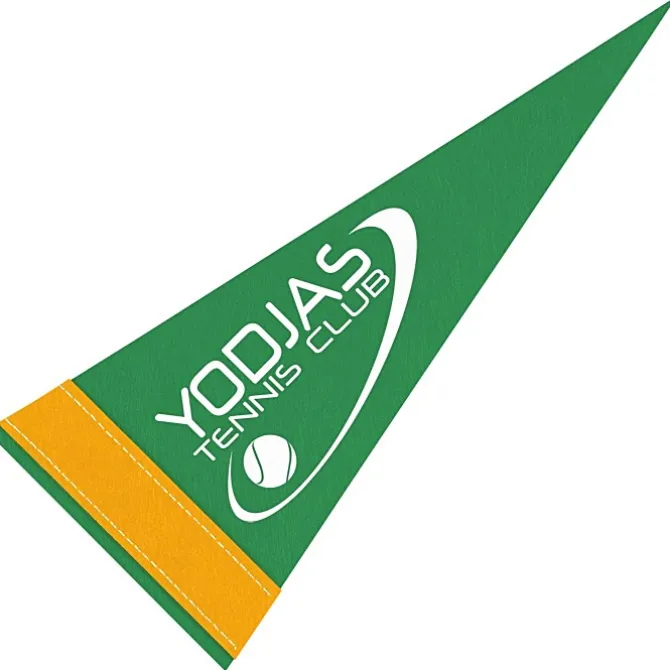 Pennant 4 inches x 10 inches - Colors