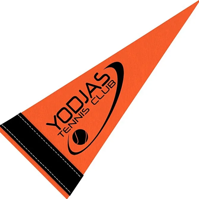 Pennant 4 inches x 10 inches - Colors