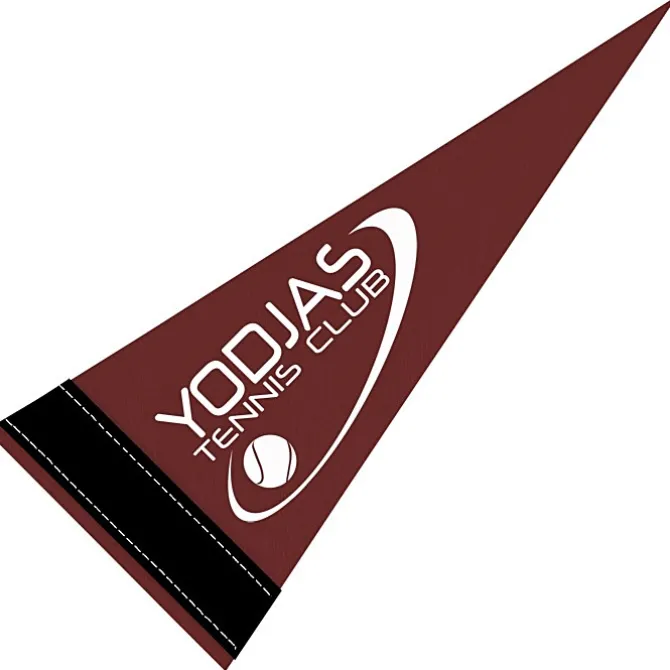Pennant 4 inches x 10 inches - Colors