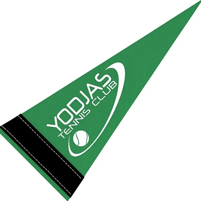 Pennant 4 inches x 10 inches - Colors