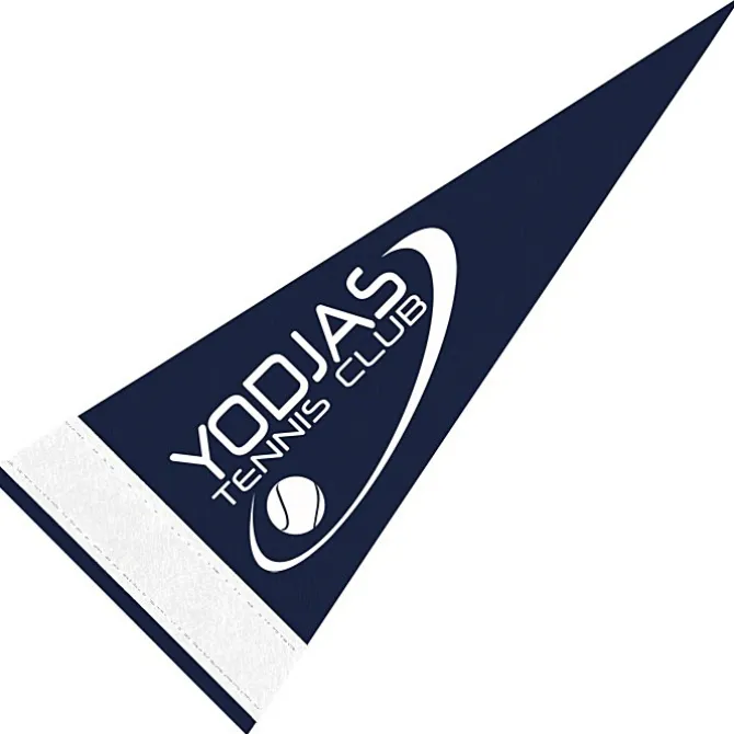 Pennant 4 inches x 10 inches - Colors