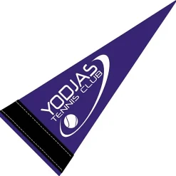 Pennant 4 inches x 10 inches - Colors