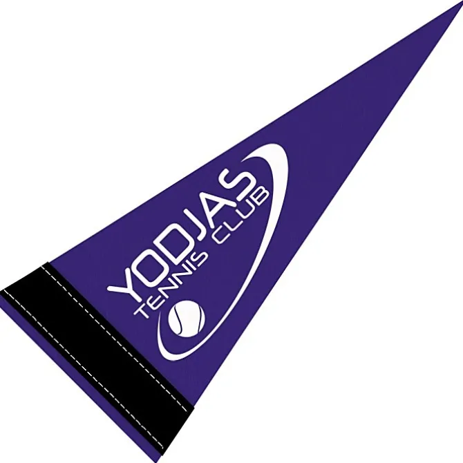 Pennant 4 inches x 10 inches - Colors