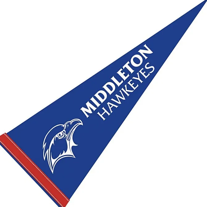 Pennant 9 inches x 24 inches - Colors