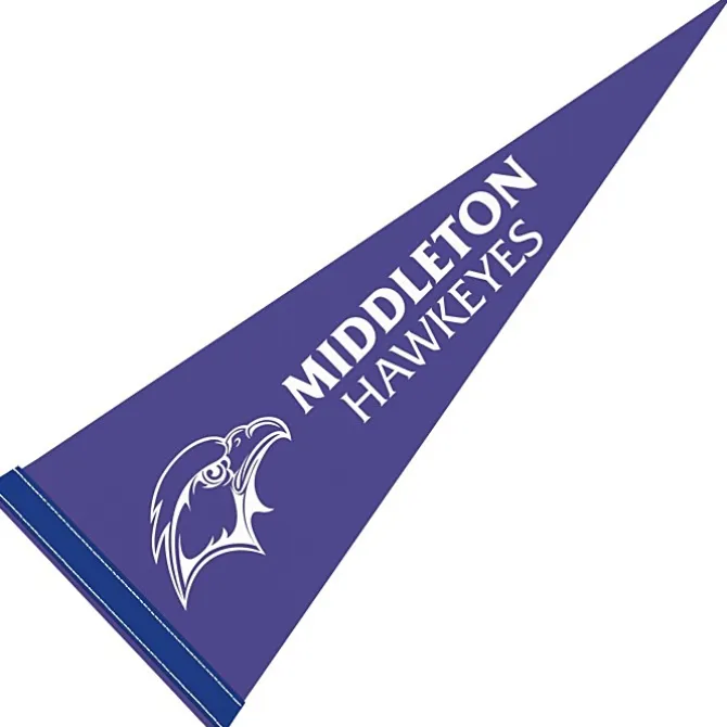 Pennant 9 inches x 24 inches - Colors