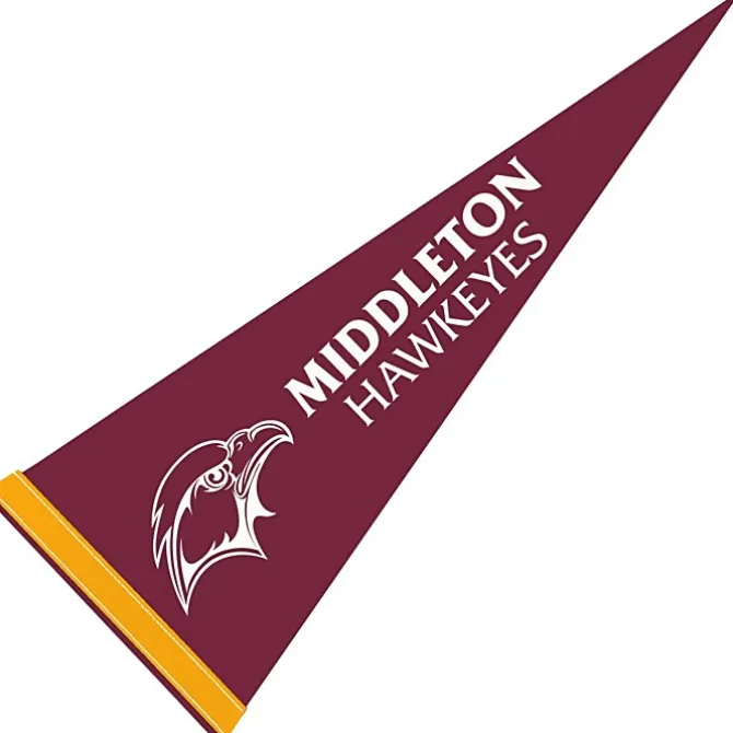 Pennant 9 inches x 24 inches - Colors