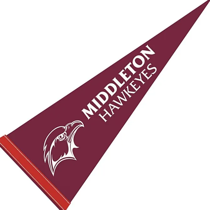Pennant 9 inches x 24 inches - Colors
