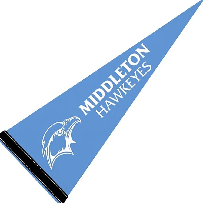 Pennant 9 inches x 24 inches - Colors