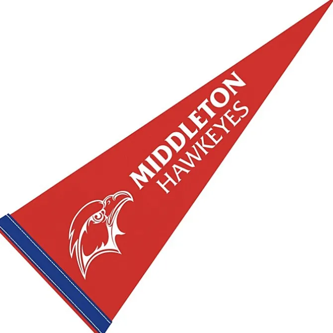 Pennant 9 inches x 24 inches - Colors