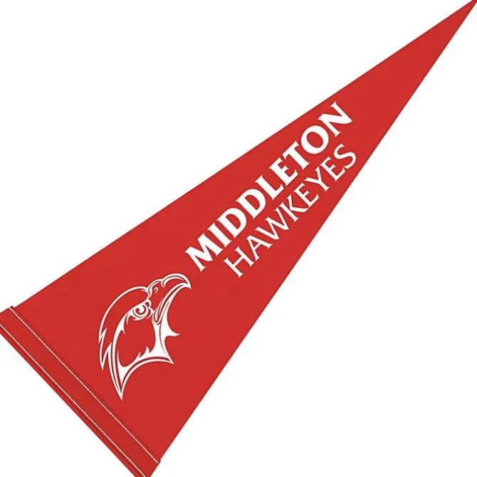 Pennant 9 inches x 24 inches - Colors