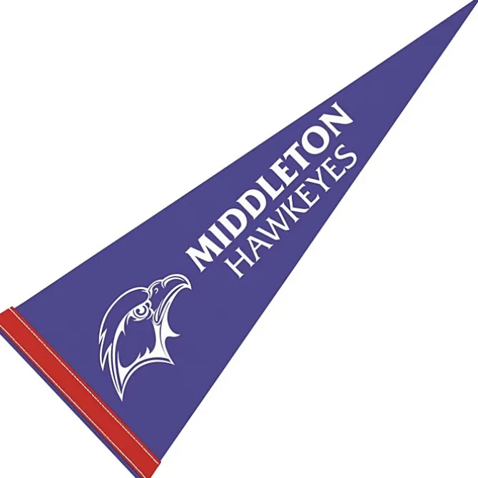 Pennant 9 inches x 24 inches - Colors