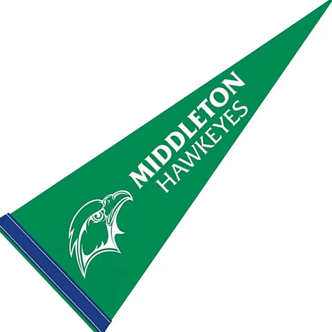 Pennant 9 inches x 24 inches - Colors