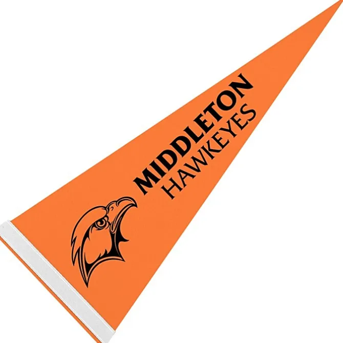 Pennant 9 inches x 24 inches - Colors