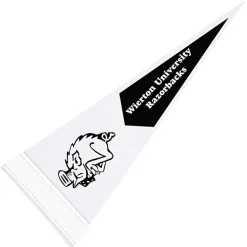 Pennant 5 inches x 12 inches - White