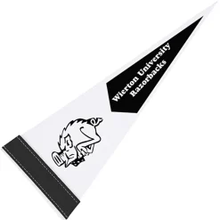 Pennant 5 inches x 12 inches - White