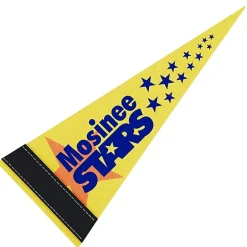 Pennant 4 inches x 10 inches - White - Full Color