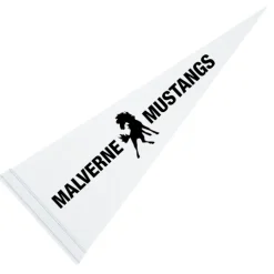 Pennant 9 inches x 24 inches - White