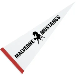Pennant 9 inches x 24 inches - White