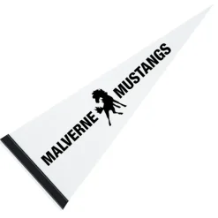 Pennant 9 inches x 24 inches - White