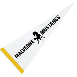 Pennant 9 inches x 24 inches - White