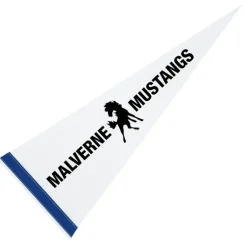 Pennant 9 inches x 24 inches - White