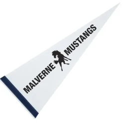Pennant 9 inches x 24 inches - White