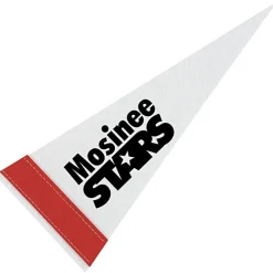 Pennant 4 inches x 10 inches - White