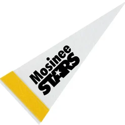 Pennant 4 inches x 10 inches - White
