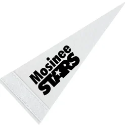 Pennant 4 inches x 10 inches - White