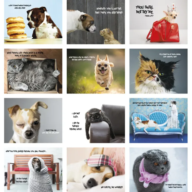 Pets with Attitude Wall Calendar - Spiral
