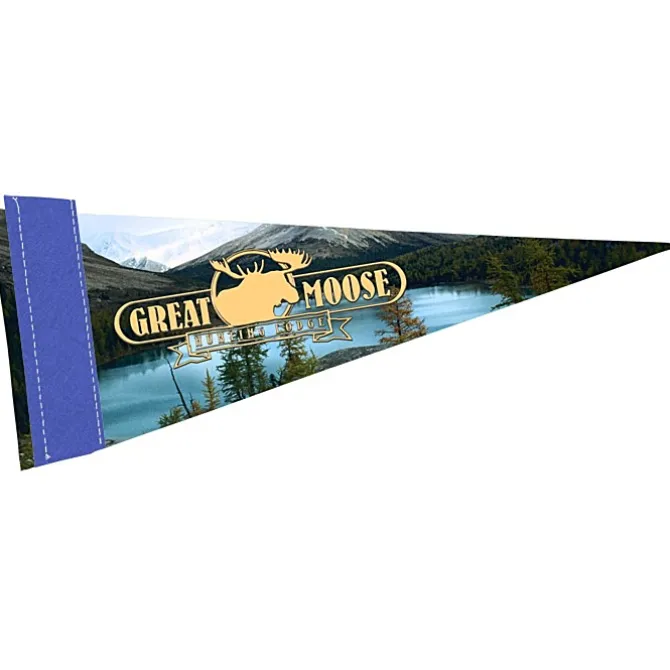 Premium Pennant 4 inches x 10 inches