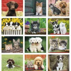 Puppies & Kittens Calendar - Stapled