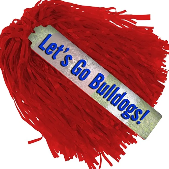 Rally Stick Pom - 11 inches
