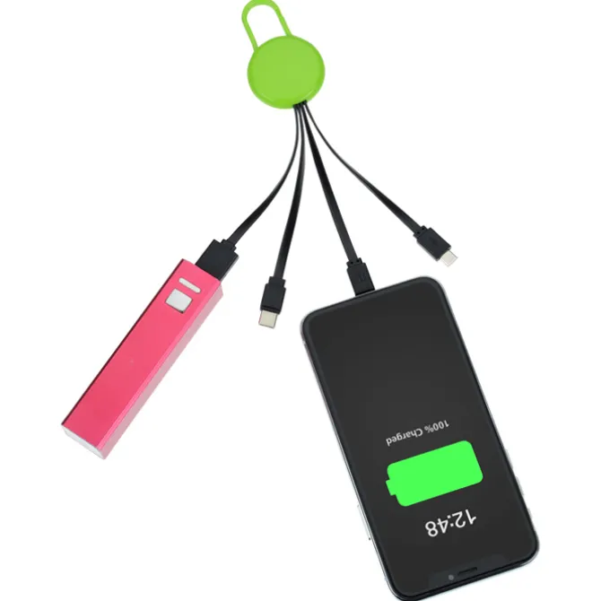 Ryder Charging Cable - Color