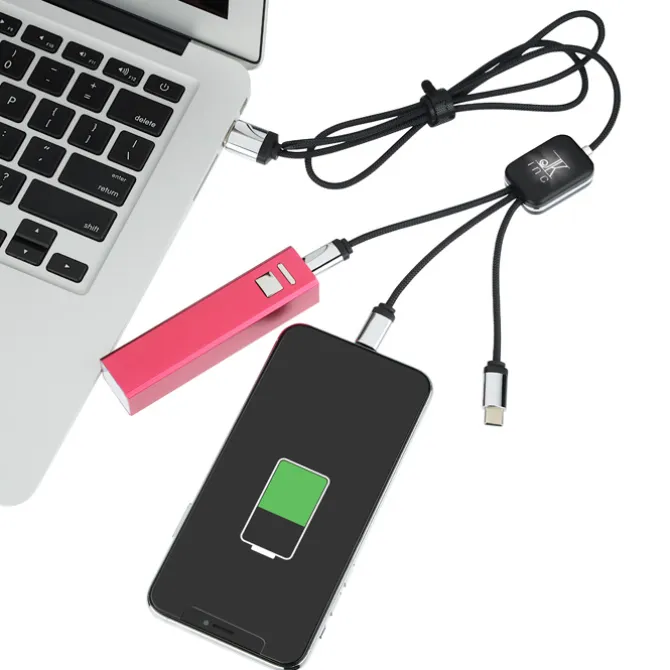 SCX Zander Light-Up Logo Charging Cable