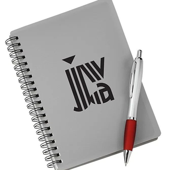 Silver Pocket Buddy Notebook Set