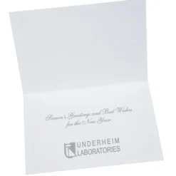 Silver Snowflakes in Snow Greeting Card