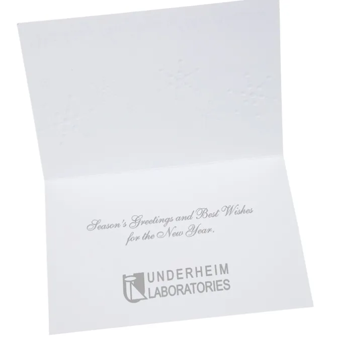 Silver Snowflakes in Snow Greeting Card