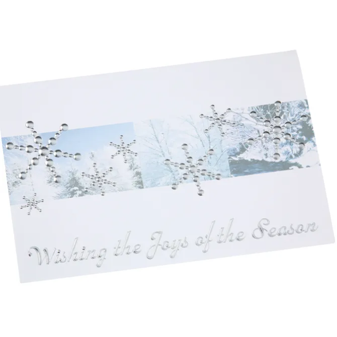 Silver Snowflakes in Snow Greeting Card