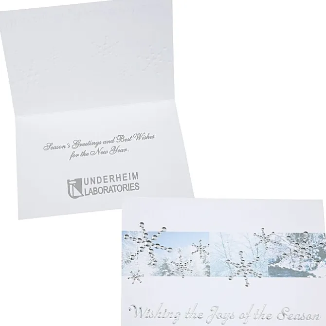 Silver Snowflakes in Snow Greeting Card