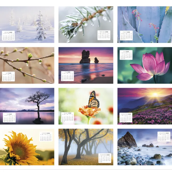 Simplicity Desk Calendar - Large