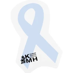 Souvenir Sticky Note - Awareness Ribbon - 25 Sheet