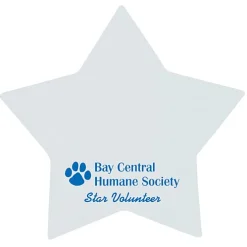 Souvenir Sticky Note - Star - 25 Sheet