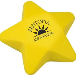 Star Squishy Stress Reliever - 24 hr