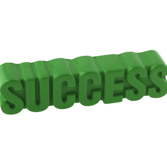 Success Word Stress Reliever